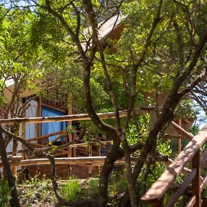 https://camping-lacona-pineta.it-tuscanyhotel.com